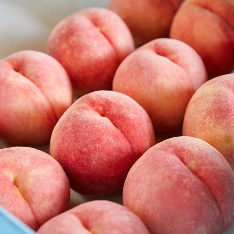 【硬い桃好きの方へ】大人気！かためのパリッと食感！山