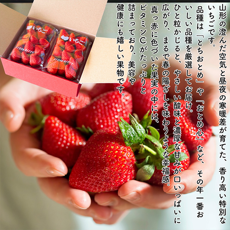 【定期便5回】やまがたを堪能！イチオシ定期便【令和8年産