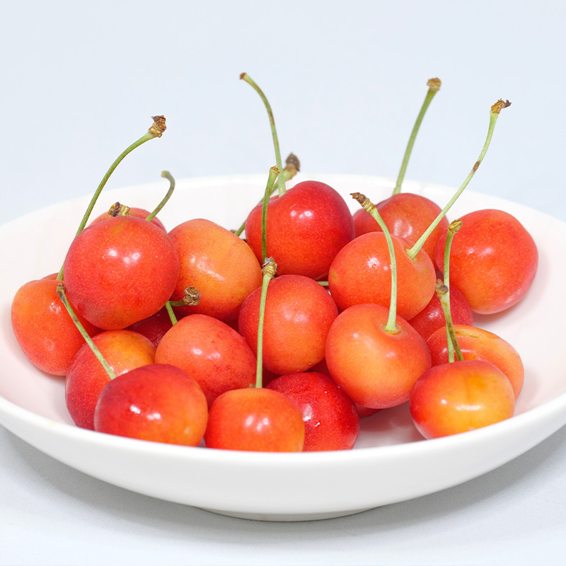 【定期便3回】やまがた旬果実の定期便【令和8年産先行予約