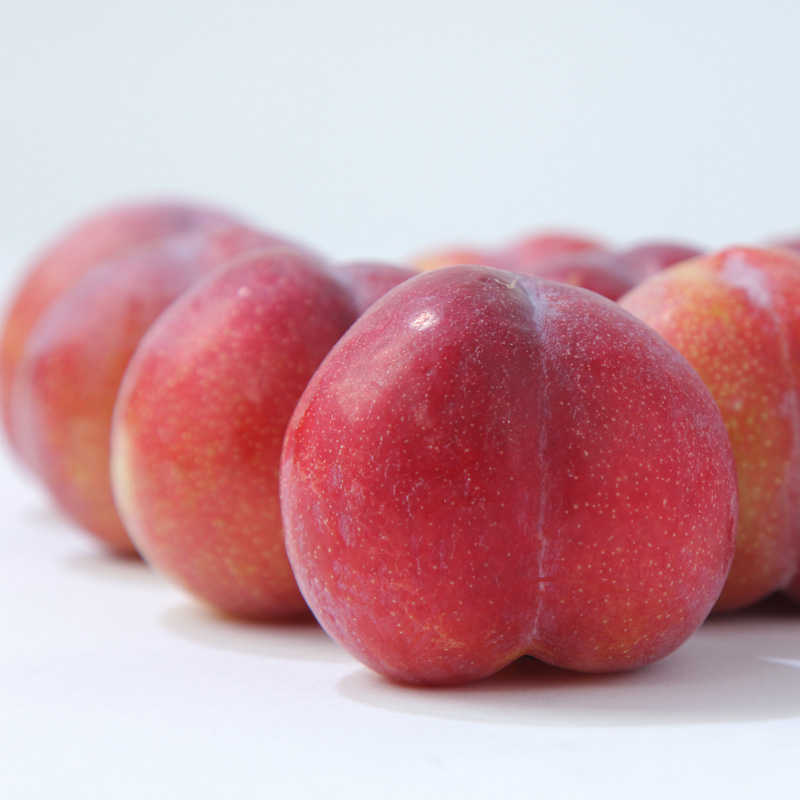 ★フルーツ王国山形★山形プラム(秋姫)1.2kg すもも【令和8