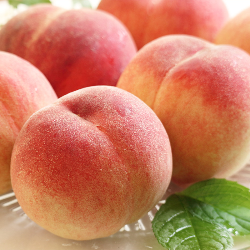 【定期便3回】好きですやまがた！夏から始まる果実のおも