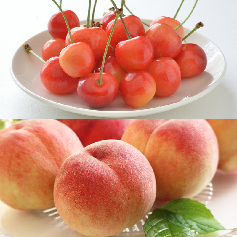 【定期便5回】好きですやまがた！初夏から始まる果実のお