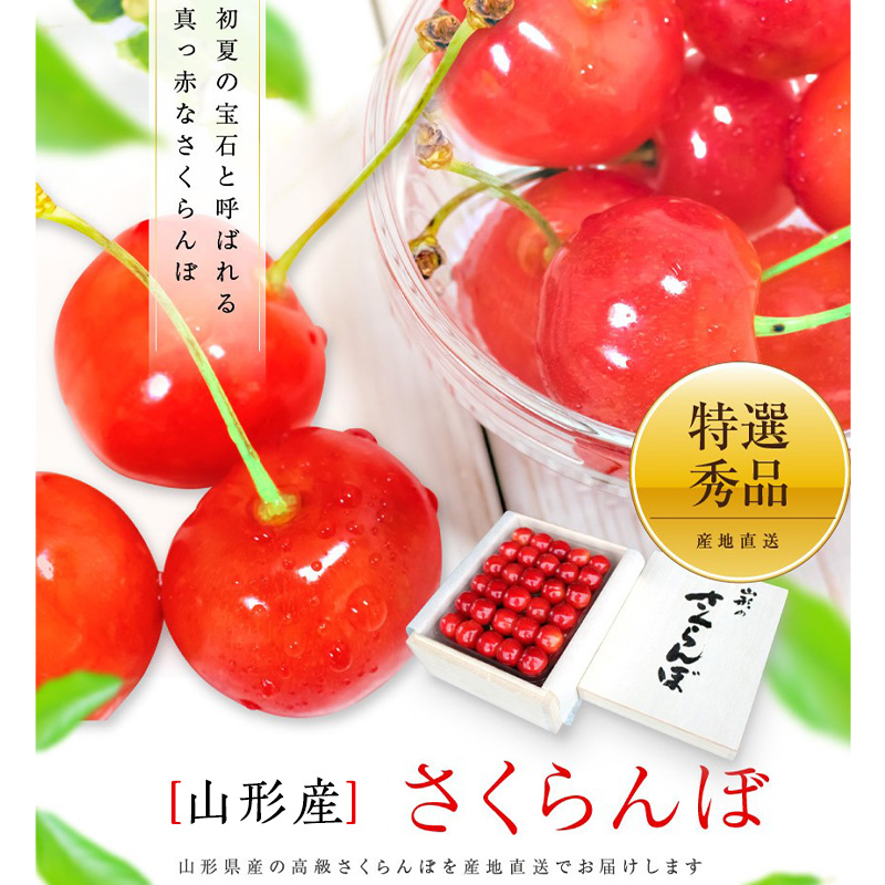 【特選】山形産 さくらんぼ 佐藤錦 500g 桐箱入 【令和8年産