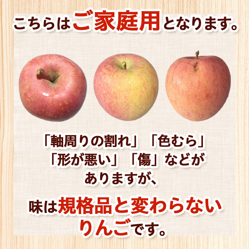 【ご家庭用】サンふじリンゴ 5kg (12～20玉) FY25-359