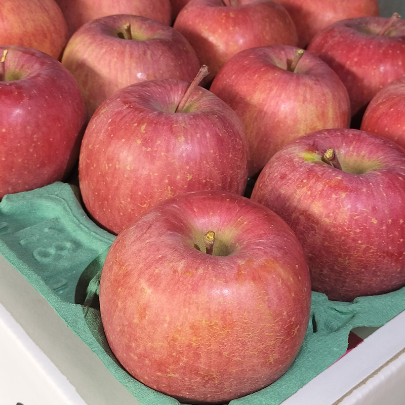 サンふじリンゴ 秀品 5kg (12～18玉) FY25-360