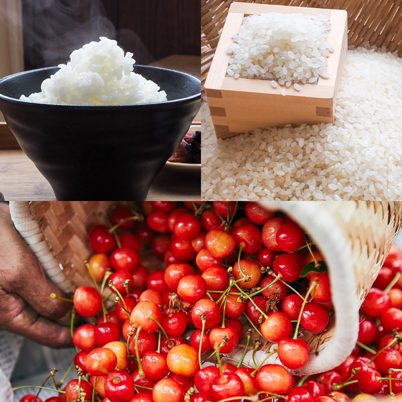 【定期便7回】冬から巡る山形うまい物！贅沢MINIプチ便【令