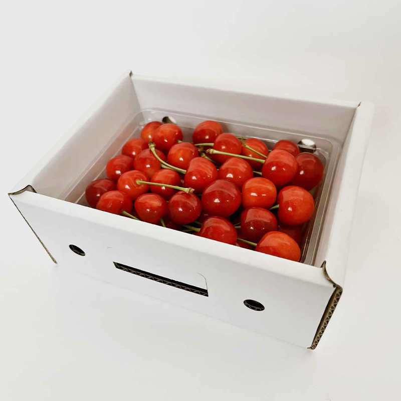 山形さくらんぼ (祝)栽培150周年記念！紅秀峰 500g L玉 数量限