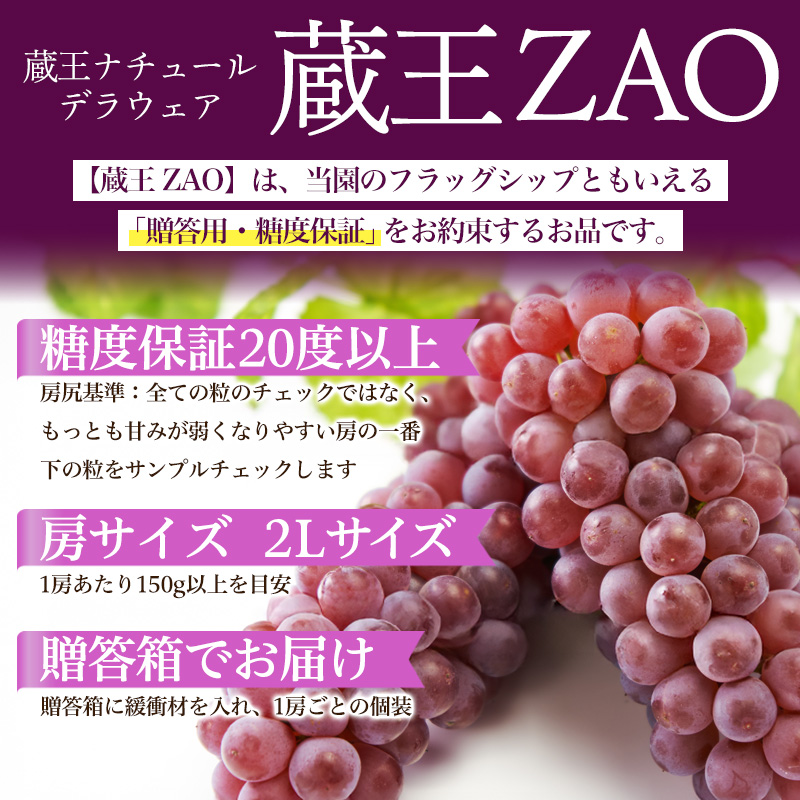 【蔵王 ZAO】蔵王ナチュールデラウェア 山形のデラウエア TA