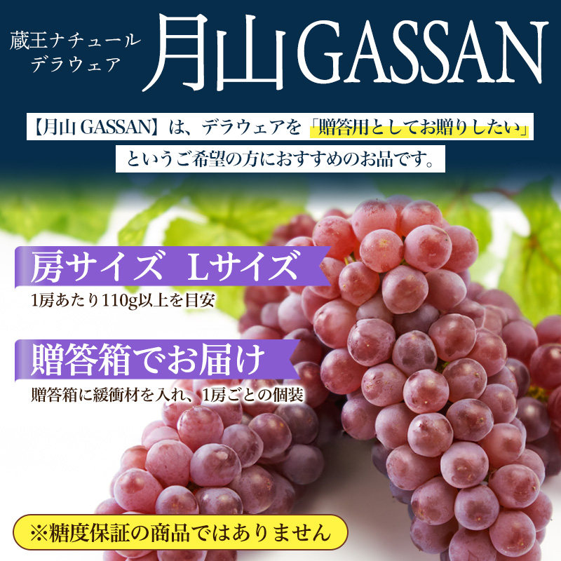 【月山 GASSAN】蔵王ナチュールデラウェア 山形のデラウエア