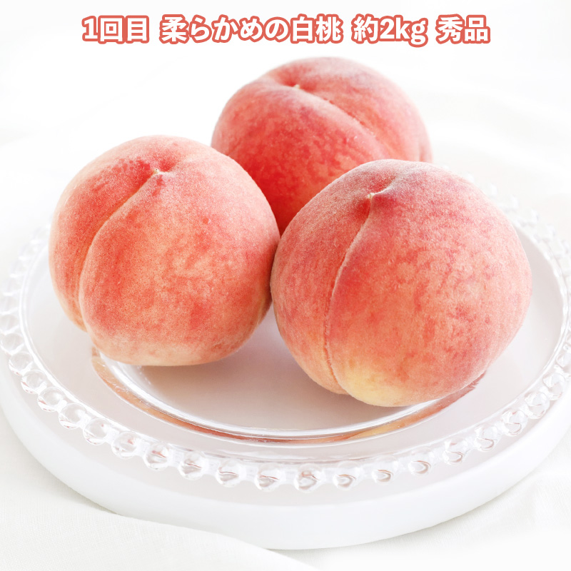 【定期便3回】どれも美味しい 山形フルーツ 贅沢5種便【令