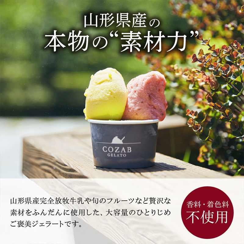 COZAB GELATO 訳あり 大容量 ひとりじめサイズ 6個セット FY25-277