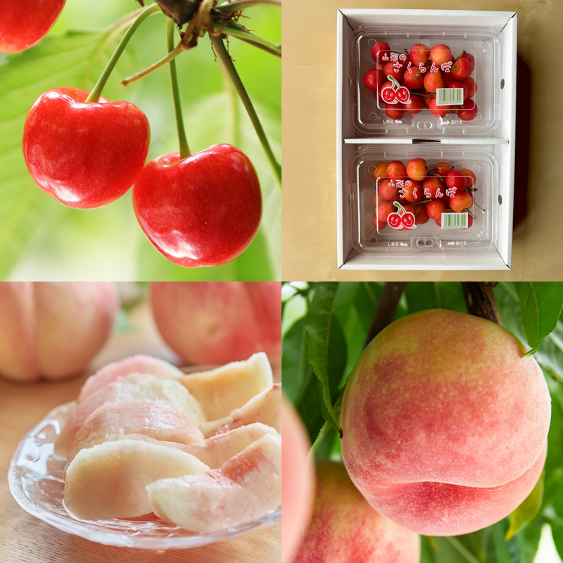 【定期便4回】山形人気フルーツベスト4！ お福分け定期便