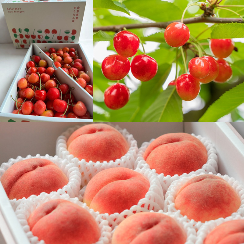 【定期便4回】やまがた美味しい果物 旬便り定期便【令和8