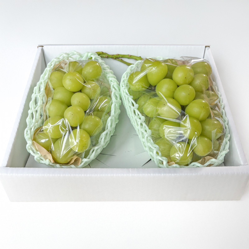 はじける美味しさ！山形の朝どりシャインマスカット 800g～