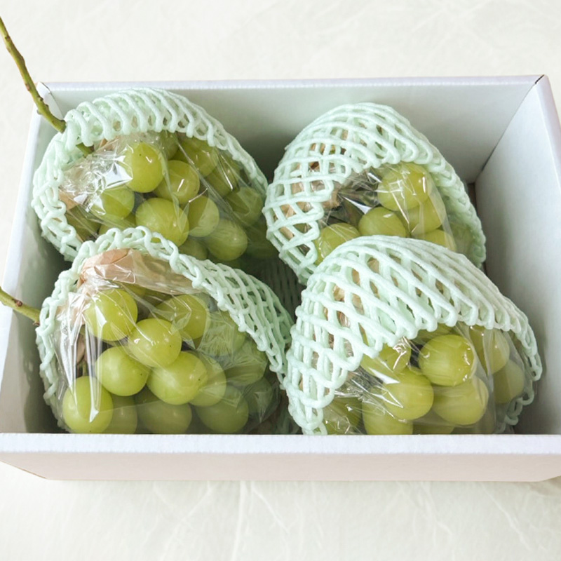 はじける美味しさ！山形の朝どりシャインマスカット 約1.8k