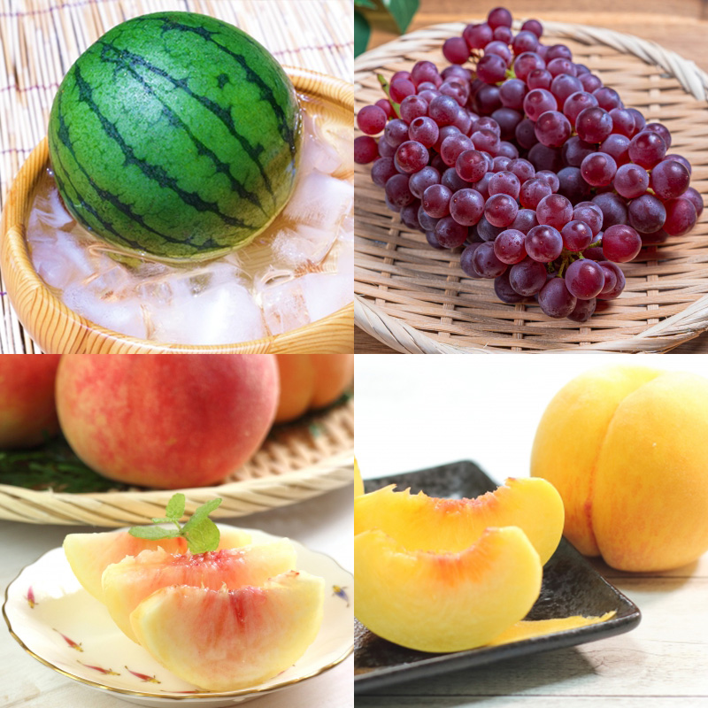 【定期便8回】フルーツちょこっと【令和8年産先行予約】FS2