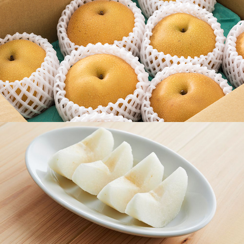 【定期便2回】やまがたの和梨＆洋梨どちらも堪能便【令和8