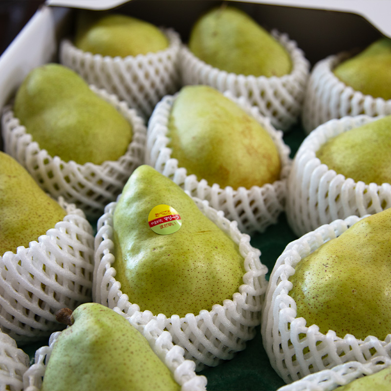 【定期便2回】やまがた洋梨 マリゲットマリーラ＆ラフラン