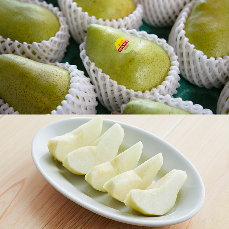 やまがた洋梨 マリゲットマリーラ 5kg【令和8年産先行予約