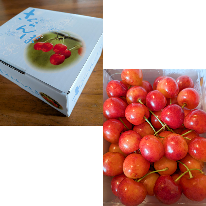 さくらんぼ 佐藤錦 500g 特秀 【令和8年産先行予約】FS25-143