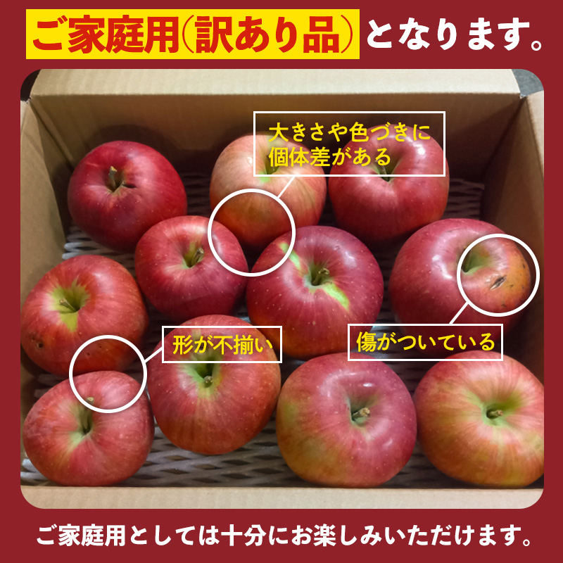 [家庭用]山形産 りんご (シナノスイート) 3kg(10月16日～10月31