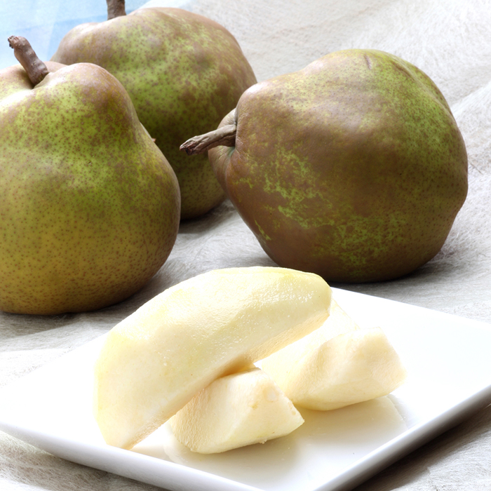 山形のラ・フランス 秀 約6kg(12～18玉・3L～6L)[11月発送]【令