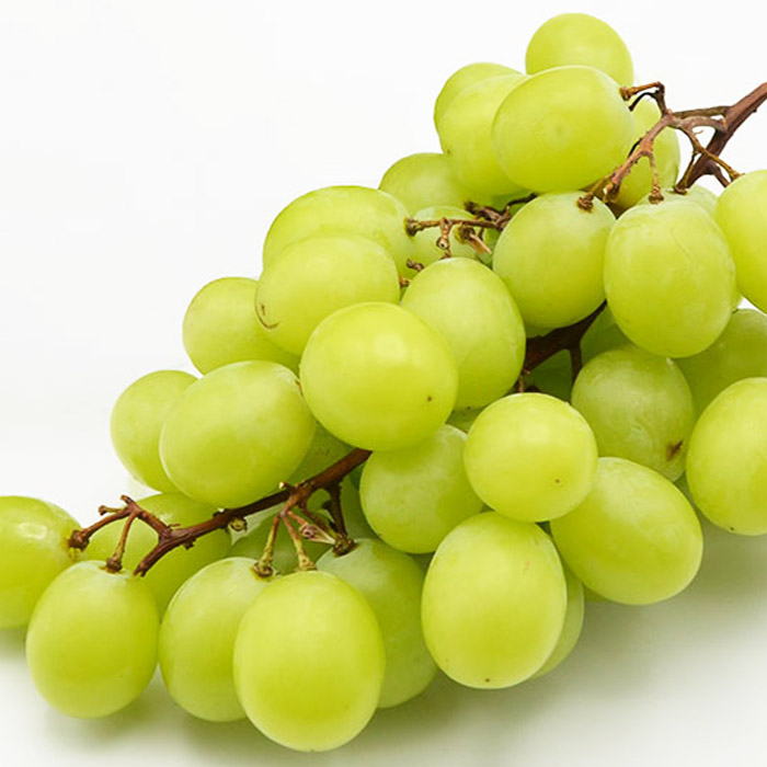 【ご家庭用】山形のシャインマスカット 優品 1房 約500g[9月