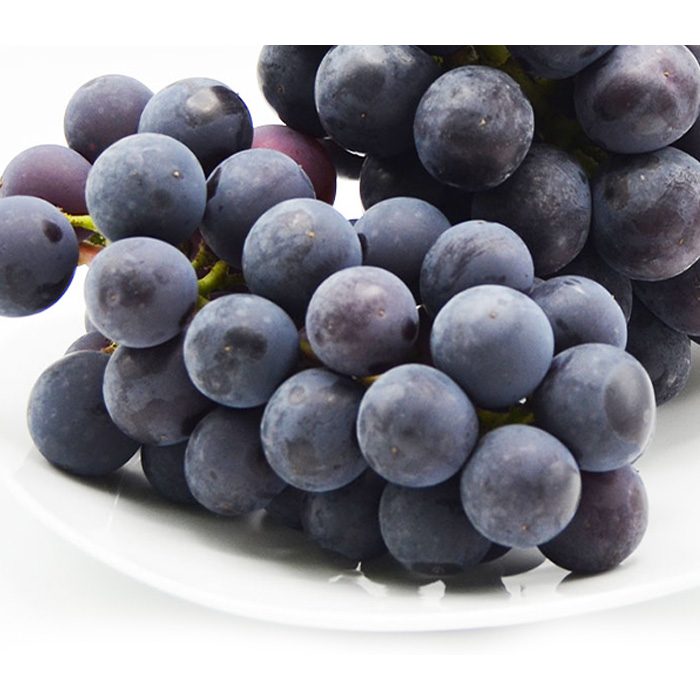 【ご家庭用】山形のピオーネ 優品 約2kg(2～6房)[10月お届け] 