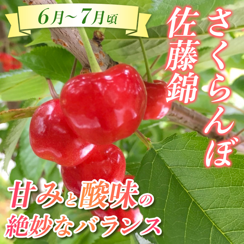 【定期便3回】☆んま～い山形☆山形フルーツ売れ筋3種定期