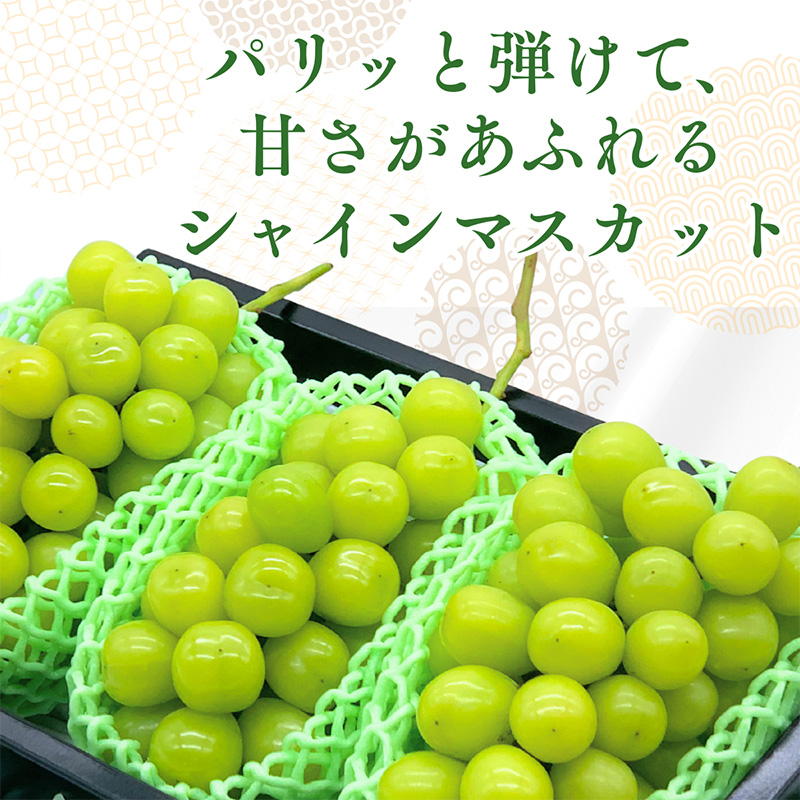 みちのく果実帖 シャインマスカット3房 約1.9kg 【令和8年産