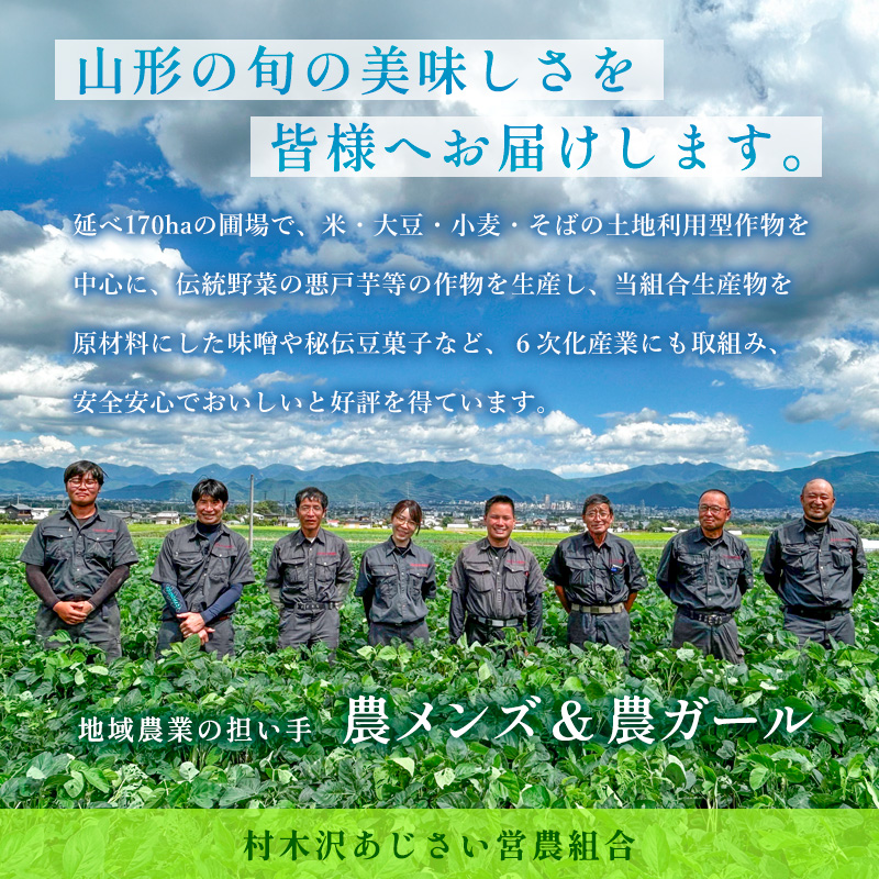 【令和7年産米 新米】山形市 村木沢産 はえぬき(玄米) 10kg 
