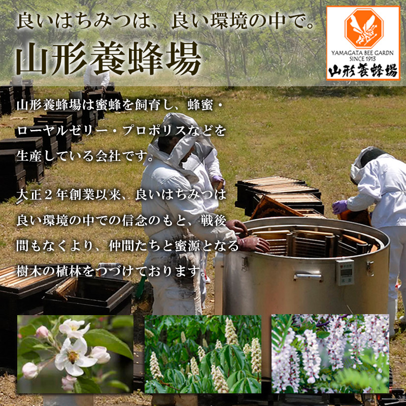 純粋蜂蜜 栃ノ木蜂蜜 500g FZ19-998