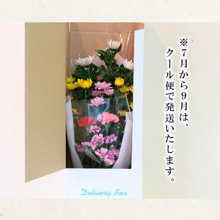 定期便12回 ご命日花束定期便 FZ19-927