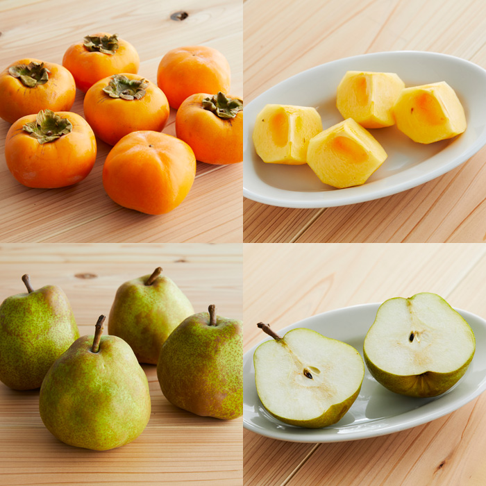 【定期便5回】山形市☆冬のフルーツ定期便 【令和8年産先