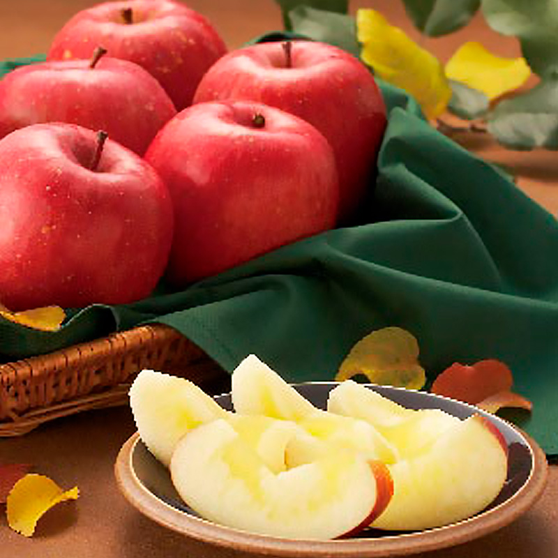 山形市産 ふじりんご 5kg(18～20玉) FZ19-428