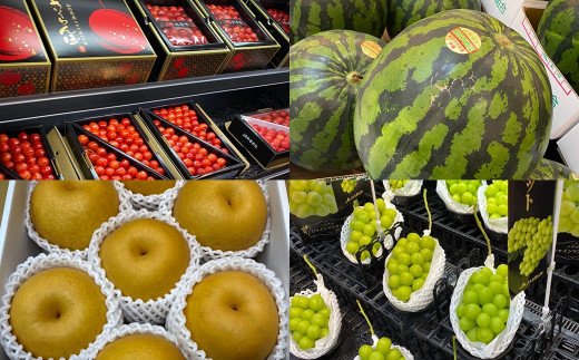 【定期便5回】山形果実の極み 【令和8年産先行予約】FU20-100