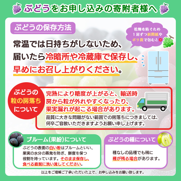 山形市産ぶどう 3種セット 秀 約1.5kg (9月発送) 【令和7年産