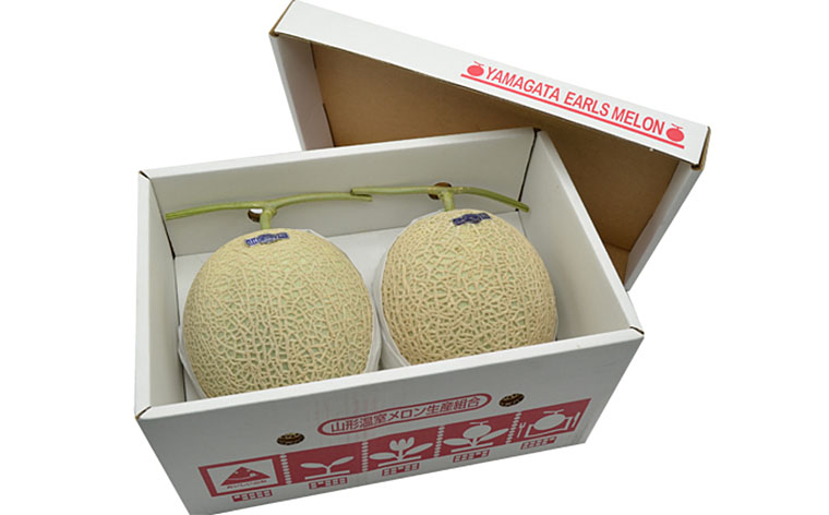 山形のアールスメロン 2玉(3kg以上)【令和8年産先行予約】FU2