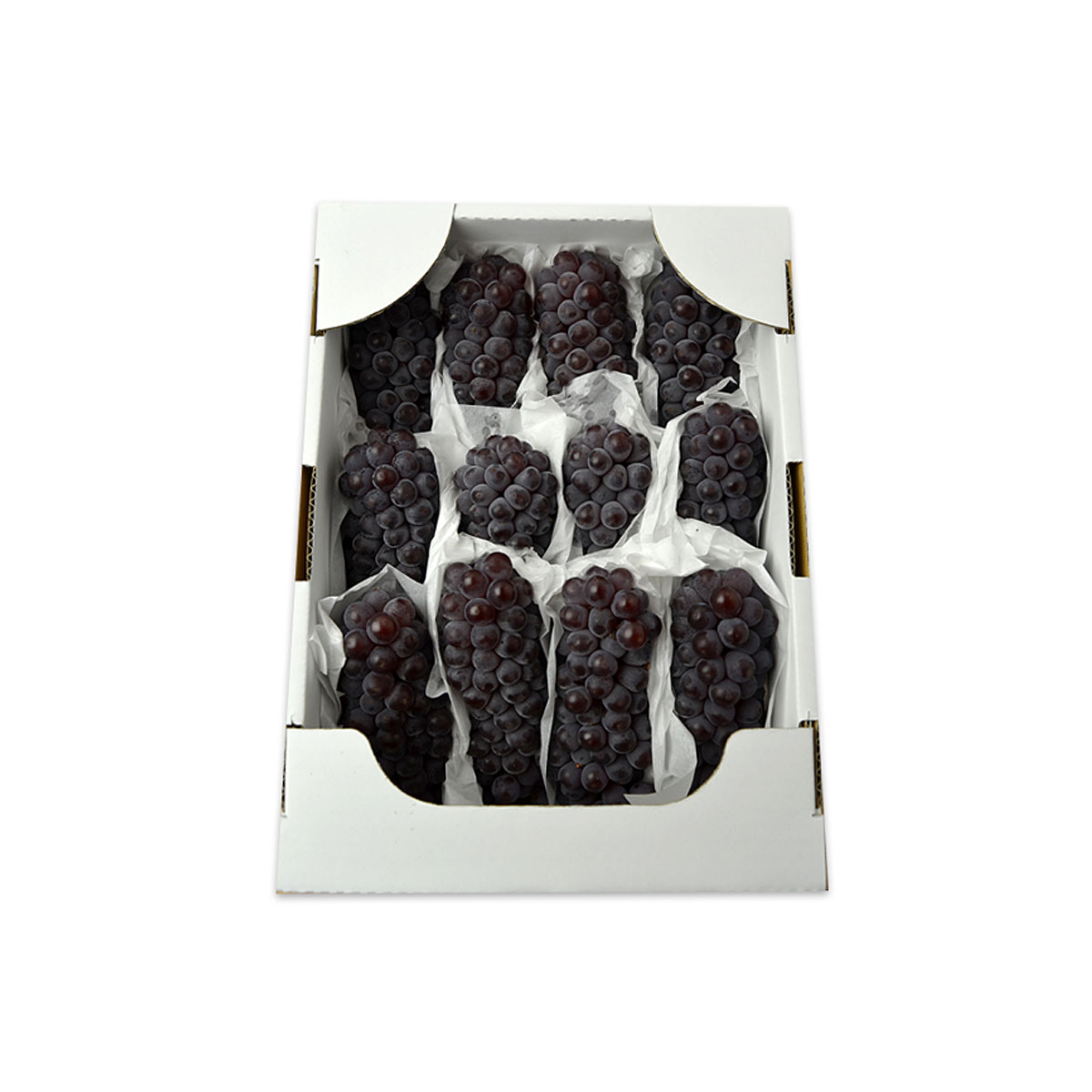 山形のぶどう デラウエア 約2kg(L～3L/10～16房)【令和8年産先