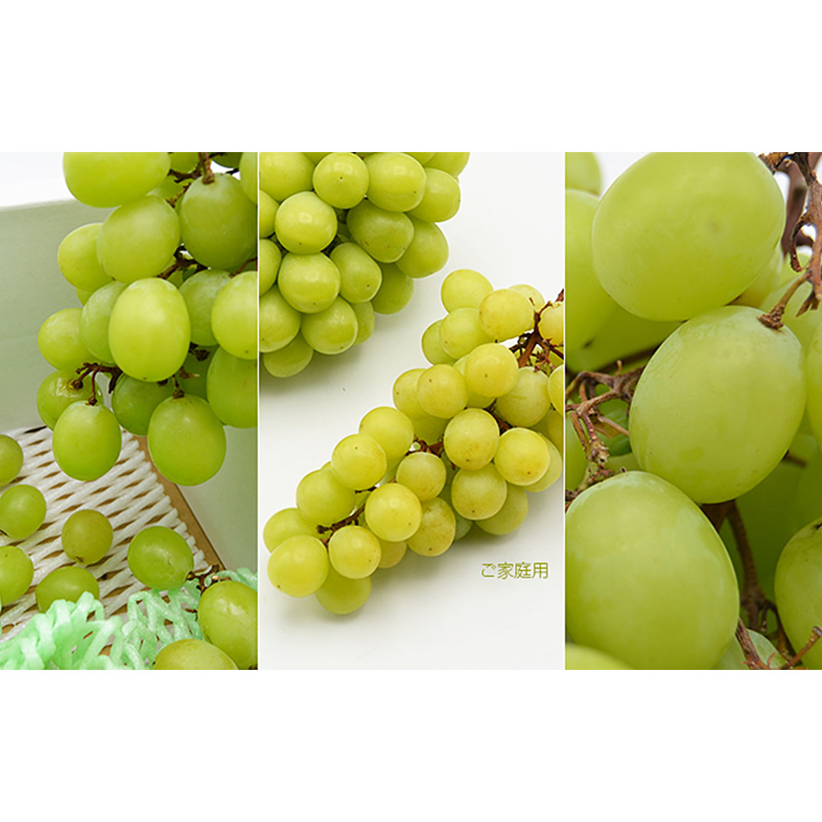 【ご家庭用】山形のシャインマスカット 優品 約2kg(2～6房)[1