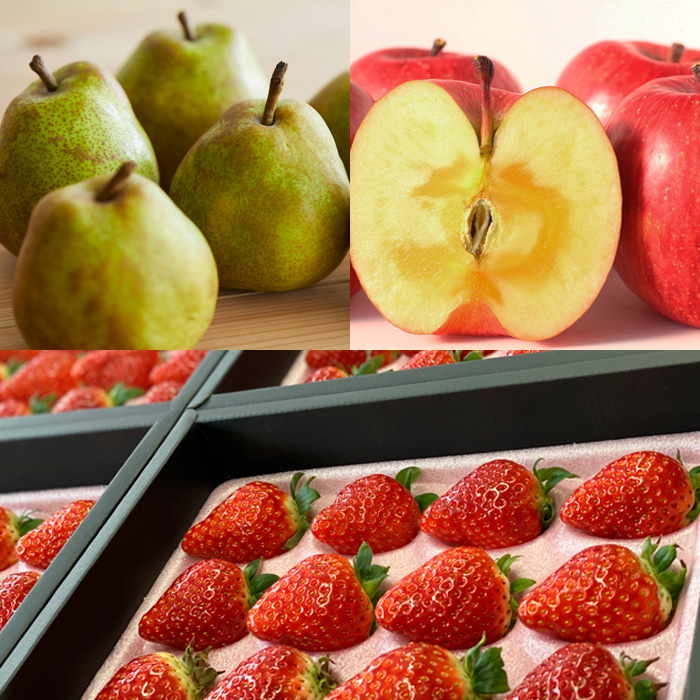 【定期便4回】栽培のプロが選ぶ山形の秋冬プレミアムフル