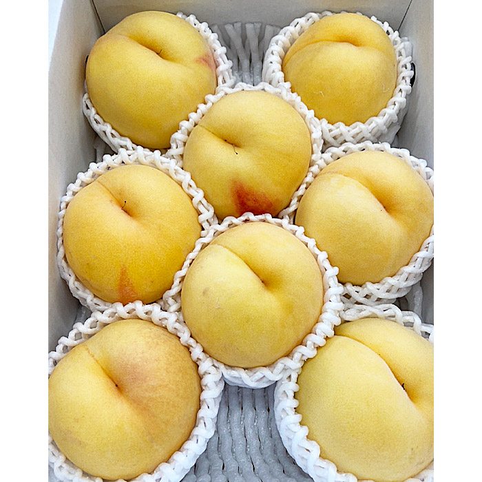  数量限定！マーブル桃「あかつき姫」(有袋・無袋) 秀品 約