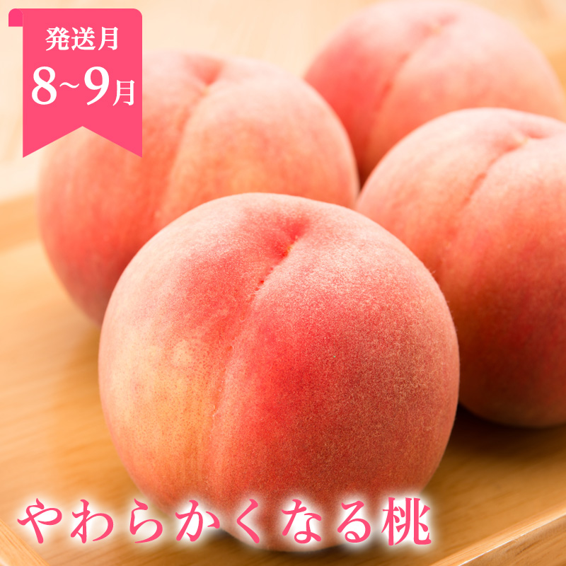 【定期便3回】山形まるごと！人気のくだものベスト3【お試