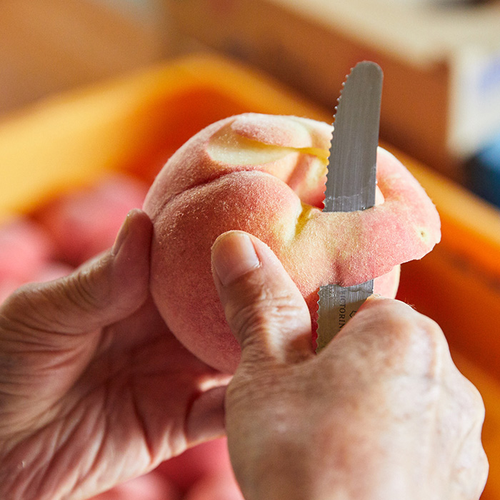 【定期便3回】～桃好きな方専用～もも定期BOX～ 【令和8年