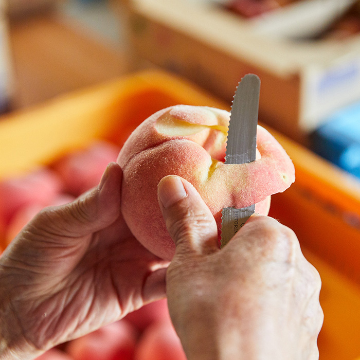 【硬い桃好きの方へ】大人気！おどろきのパリパリ食感！