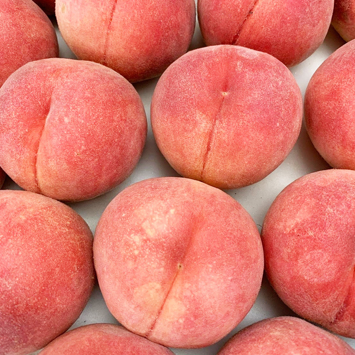 ～私のおススメ～山形産 もも 2kg【玉うさぎ】 【令和8年産