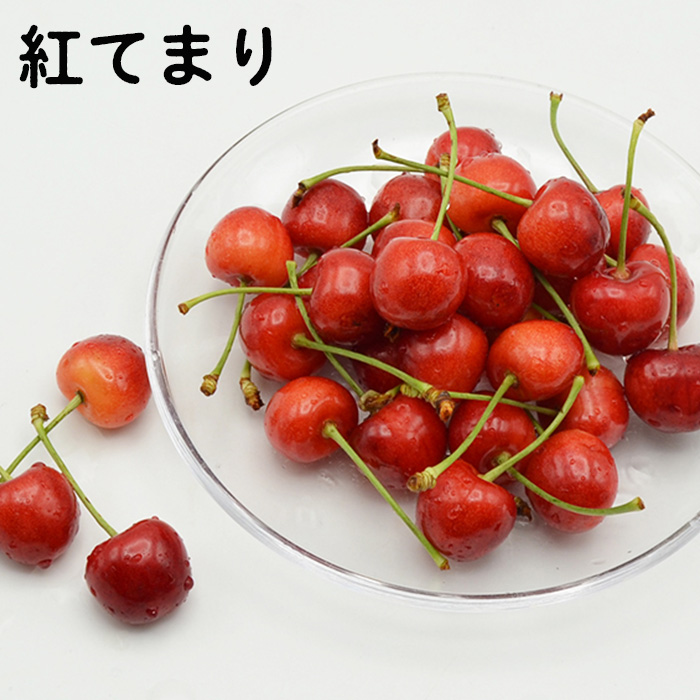 山形のさくらんぼ食べ比べ3種 1.2kg(200g×6パック)[紅秀峰・紅
