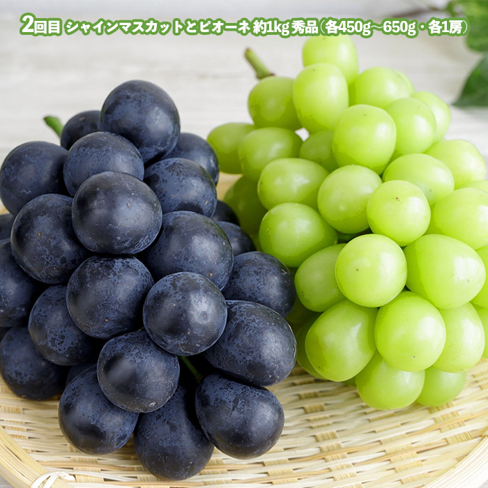 【定期便3回】どれも美味しい山形フルーツ贅沢６種便【令