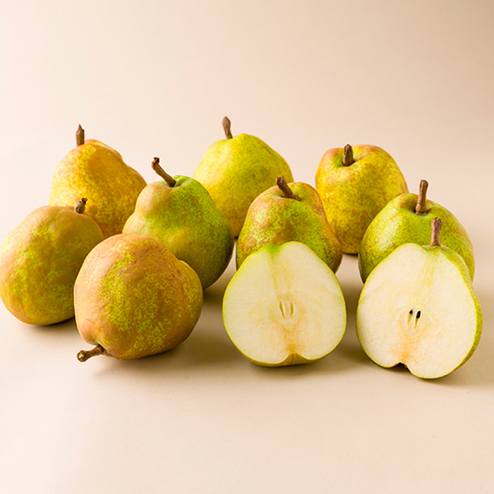 【秋から始まる定期便3回】山形のフルーツ定期便(シャイン