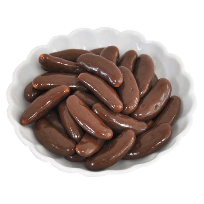 【でん六】柿の種 チョコ Eサイズ 34g×10袋 FZ25-844